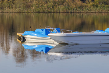 A pleasure boat and a catamaran at the pier are reflected in the water with flying  birds fly and a visible shore