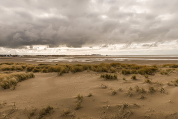 Dünenlanschaft in Blankenberge 