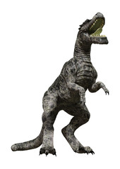 3D Rendering Dinosaur Tyrannosaurus on White