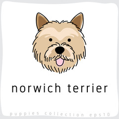 Dog Breed Collection : Vector Illustration