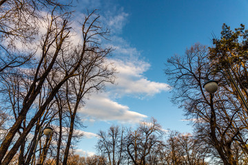 Sky in park