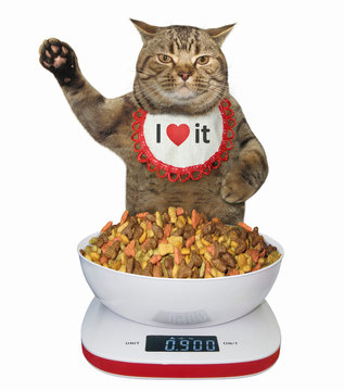 Naklejki The cat measures the weight of dry feed on a digital food scale. White background.