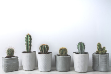 Cactuses in concrete diy pots on a white wall background with low contrast