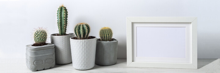 Panoramic view of cactuses in concrete diy pots and empty frame on a white wall background
