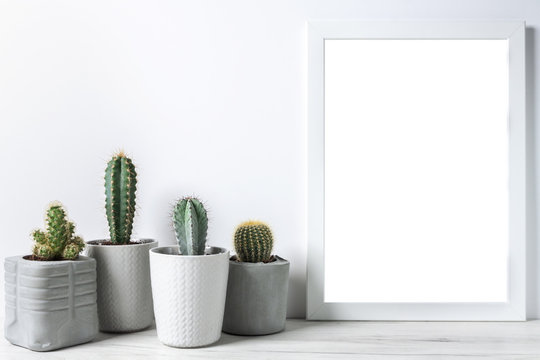 Cactuses in concrete diy pots and empty frame on a white wall background