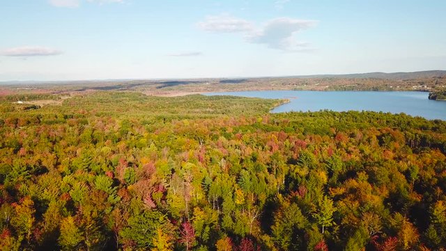 Aerial over vast forests of fall foliage and color in Maine or New England.