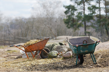 Two wheelbarrow used to collect straw in the pasture where the lamb lives
