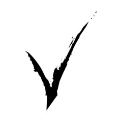 Checkmark  icon, check mark