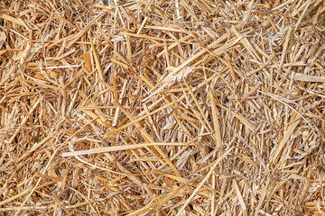 Texture of hay, straw