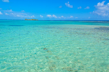 Paradise beach on island caye Carrie Bow Cay Field Station, Caribbean Sea, Belize. Tropical destination.