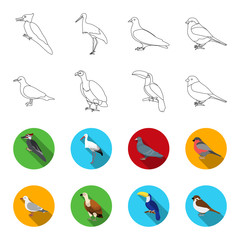 Gull, toucan and other species. Birds set collection icons in outline,flet style vector symbol stock illustration web. © pandavector