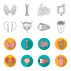 Kidney, bladder, eyeball, tongue. Human organs set collection icons in outline,flet style vector symbol stock illustration web. © pandavector