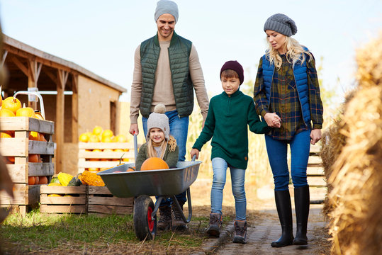 Couple with son and daughter in wheelbarrow at pumpkin patch
