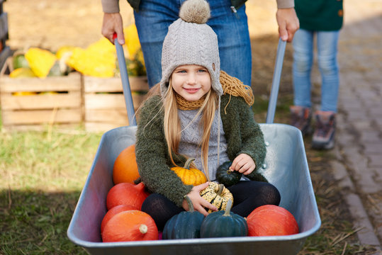 Portrait of girl in wheelbarrow with pumpkins at pumpkin patch