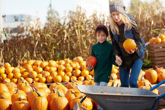 Young woman and son selecting pumpkins for wheelbarrow at pumpkin patch