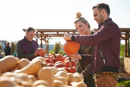 Couple selecting pumpkins in pumpkin patch field