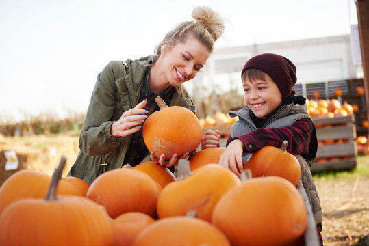 Young woman and boy selecting pumpkins in pumpkin patch field