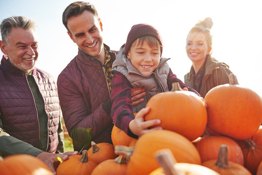 Boy with parents and grandfather selecting pumpkins in pumpkin patch field