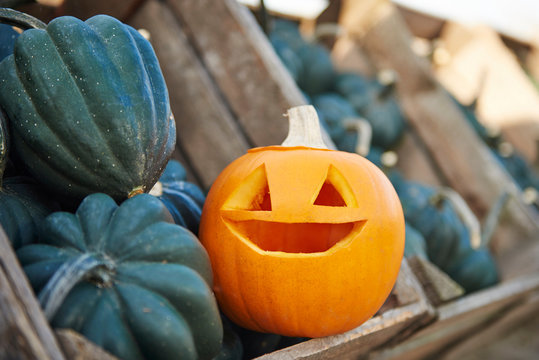 Carved halloween pumpkin in crate with vegetable squashes