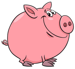 funny pig character cartoon illustration