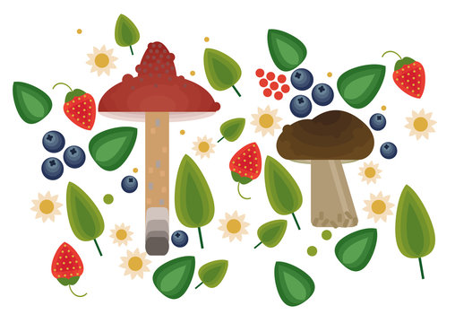 Vector flat style vector forest mushrooms and forest element. Ornamental, traditional with forest berries and mushroom, strawberries, deep, blueberries, mountain ash, cranberries, leaf, nuts, dot.