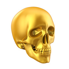 Golden Human Skull Isolated