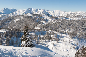 Steinplatte Waidring 