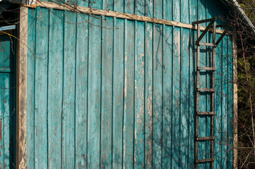 green-blue rural wooden wall with ladder