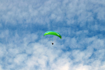 Fly