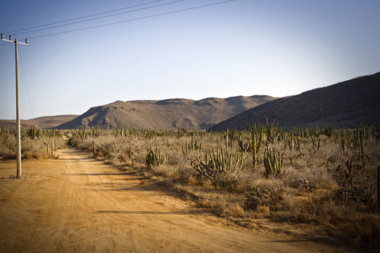 Remote dirt road in an arid landscape.