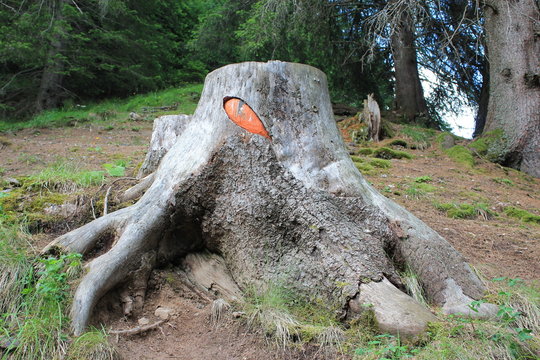 l'occhio del drago