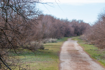 Caminos en la Naturaleza