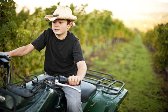 Boy driving quadbike through a vineyard
