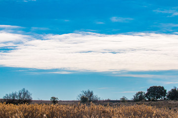 El cielo y la tierra