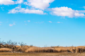 Obraz premium El cielo y la tierra