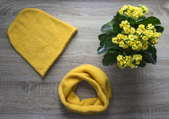 background tree flower kalandiva yellow snood scarf cap knitted with knitting needles facial smoothness mohair merino wool acrylic yarn