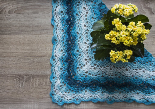 background tree flower kalandiva yellow bactus shawl crocheted azure blue blue sectional dyeing mohair merino wool acrylic yarn