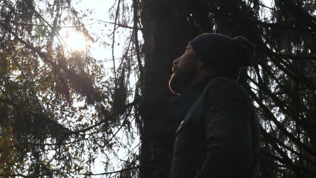male look up at sun in forest. adult man was lost in woodlands. Danger Adventure