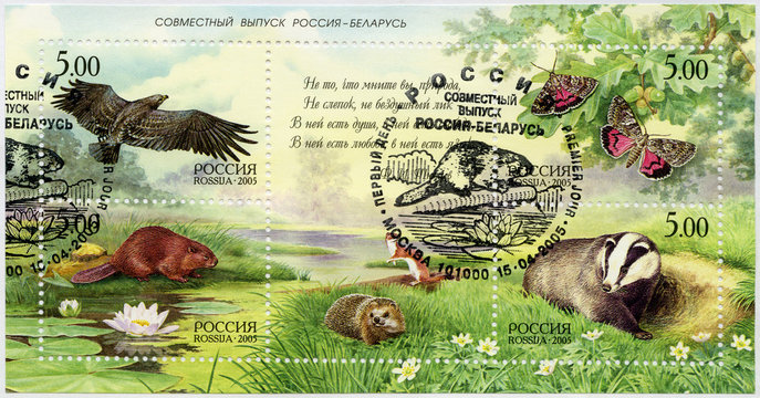 RUSSIA - 2005: shows series Nature, Russia - Belarus Joint Issue