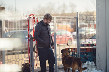 Young dog instructor walking a dog on the street with a behavioral problem helping him with dog...