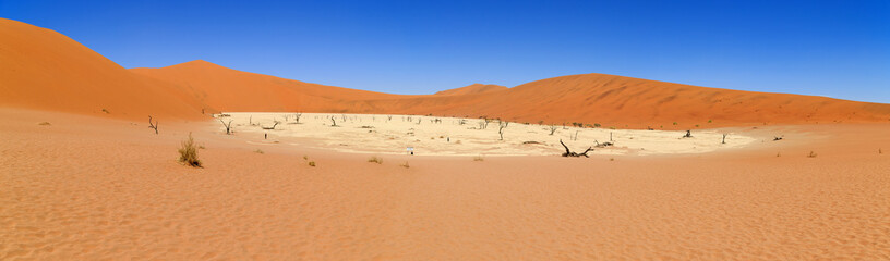 Dead Vlei