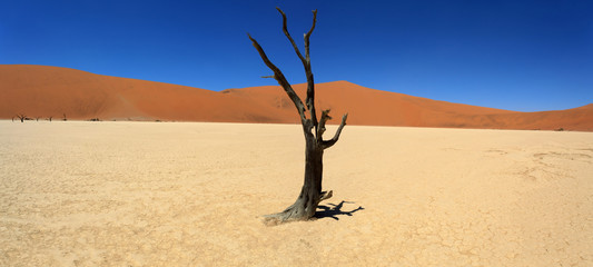 Dead Vlei