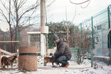 Dog trainer canine rehabilitation therapist for dogs rehabilitation program. Young dog trainer...