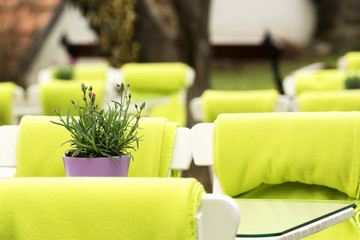 Outdoor restaurant in springtime, Hungary