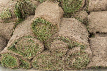 a stack of grassy turf in rolls, a roll of grass, ready for use in horticulture or landscaping