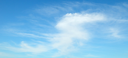Naklejka na ściany i meble Light clouds in the blue sky. Wide photo.