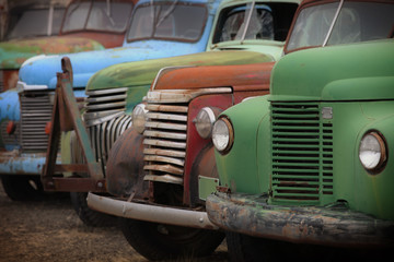 Old rusty abandoned trucks in the yard