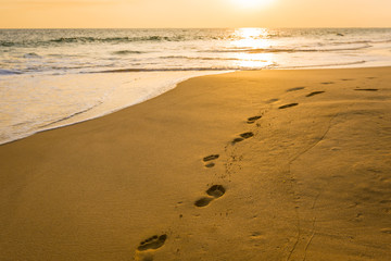 Landscape of sunset on the beach