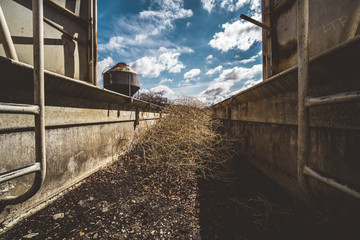 Fototapeta premium Abandoned farm trough with tumbleweeds