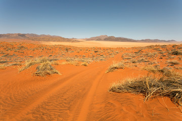 Fototapeta na wymiar NamibRand-Naturreservat